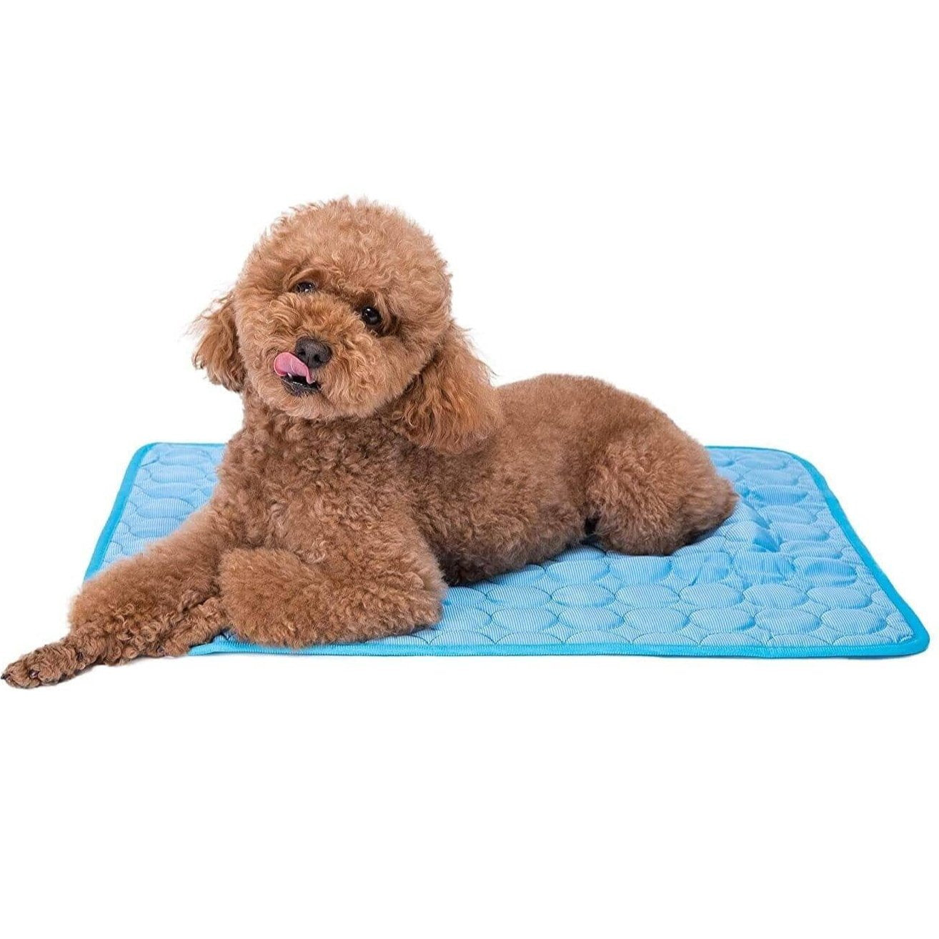 Pet Cooling Mat